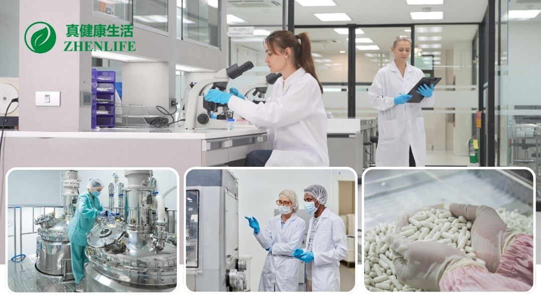 Fasilitas produksi Zhenlife — lab, mesin, dan proses QA kapsul